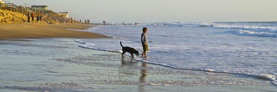 Aquitaine beach with a boy and his dog