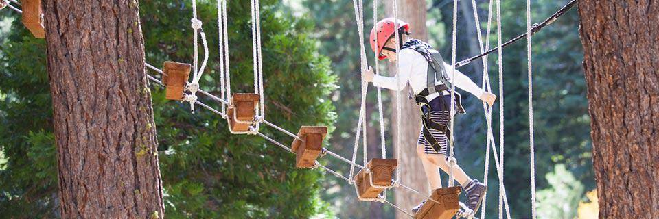 peu d'escalade de garçon dans les arbres