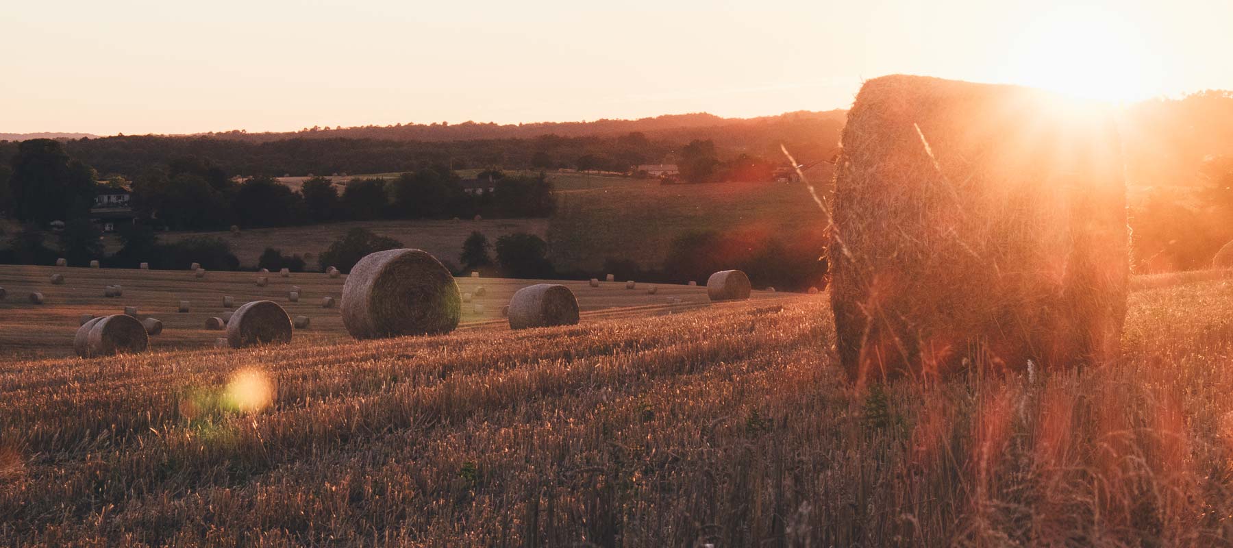 Guide Gastronomie en Provence