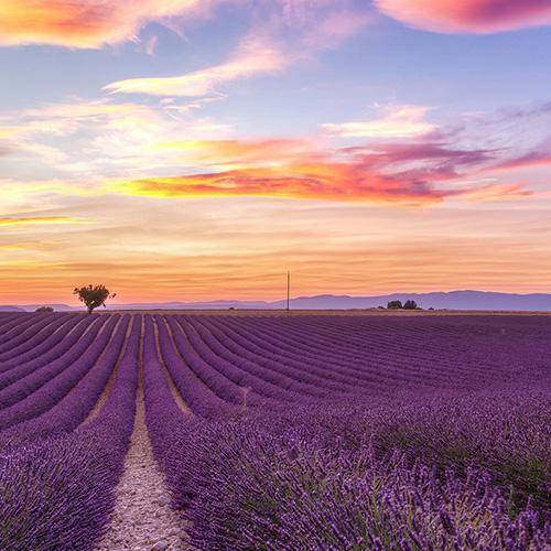 province Blog officiel de Madame Vacances