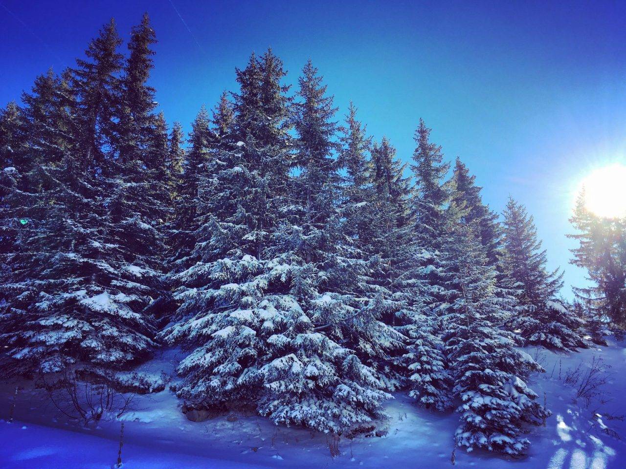 Ski de Printemps à La Plagne