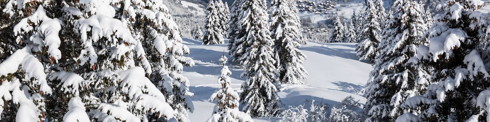 La Grande Odyssée Savoie Mont Blanc 2019