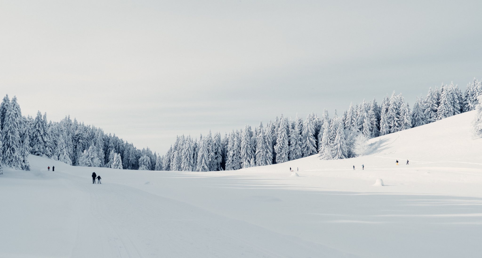 Les meilleures destinations pour l'hiver