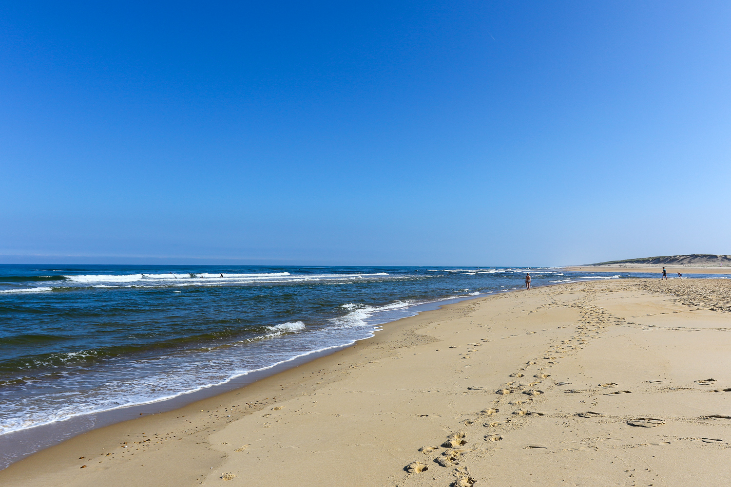Plage sauvage de Moliets-et-Maa entre l'océan Atlantique et la forêt de pins des Landes.