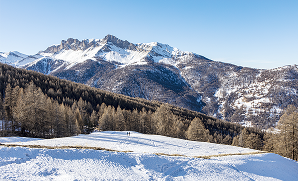 Paysage de haute montagne et nature préservée à Abriès-en-Queyras en plein hiver.