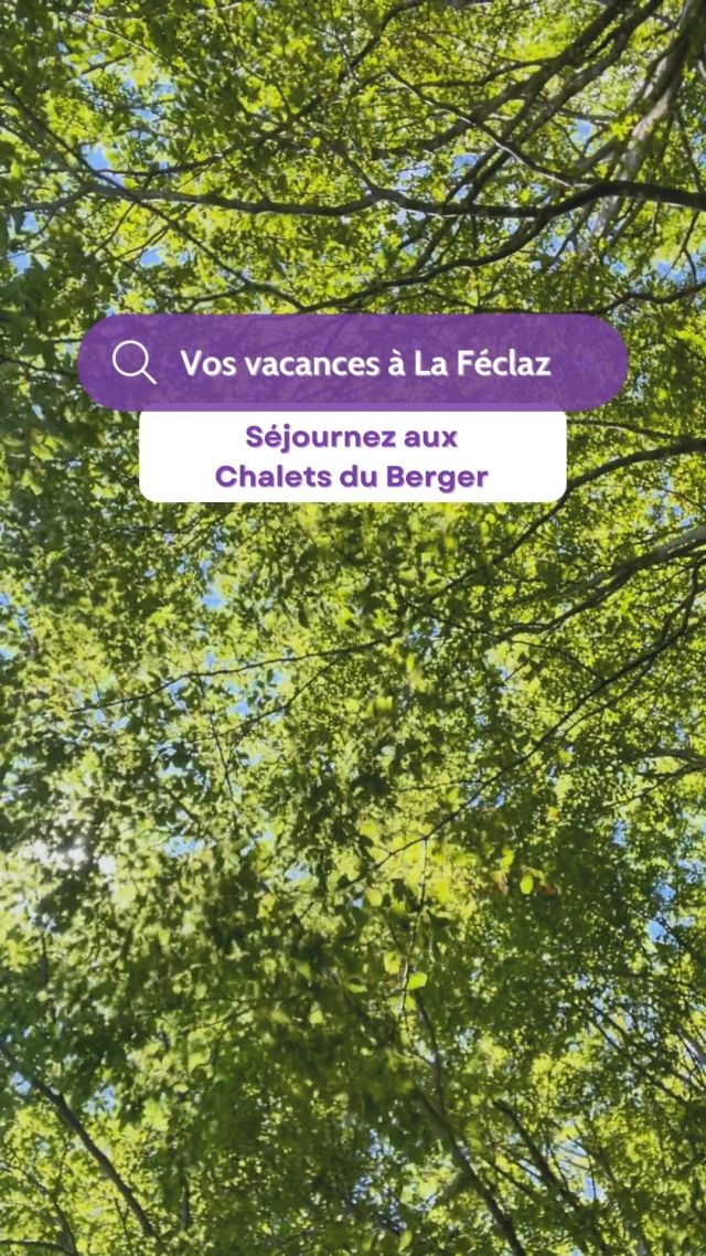 Direction La Feclaz ⛰

Envie d'un grand bol d'air pur ?🌿
C'est en Savoie, aux Chalets du Berger, que nous vous emmenons cette fois ☺️

Ces logements, décorés pour vous plonger dans l'atmosphère savoyarde ont tout le confort possible pour vous accueillir le temps d'un séjour en montagne. Ils sont situés sur le domaine de La Feclaz qui est un grand terrain de jeu à ciel ouvert pour tous les membres de la famille ! 👌🏼

Non loin de nos hébergements, vous pouvez :
- tester l'agilité de toute la tribu sur les parcours d'accrobranche🌳
- aller admirer le lac du Bourget et ses alentours depuis le Belvédère du Revard ✨
- vous promener aux sons de la nature sur les divers sentiers de randonnée 🐦
- vous essayer ensemble à la sylvothérapie pour une communion totale avec la nature 🥰

En séjournant aux Chalets des Berger lors de vos prochaines vacances, vous vivrez des moments uniques et remplis de d'aventures !

Alors rendez-vous vite sur notre site et réservez nos dernières disponibilités ⏳

. . . . . . . . . . . . . . . . . . . . . . . . . . . . . . . . . . . . . . . . . . . . .

#famille #vacances #montagne #savoie #nature