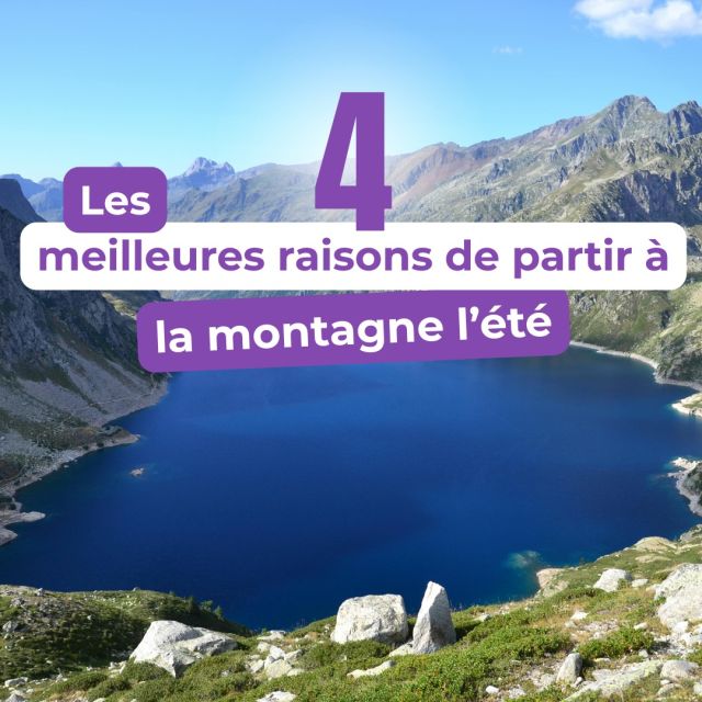 Envie d’évasion cet été ? La montagne est votre prochaine destination ! ✨

Entre randonnées sublimes, forêts, lacs et sommets profitez d’un air pur loin de la ville et de la foule. Découvrez des villages pleins de charme, et terminez vos journées avec des activités variées : VTT, accrobranche, baignade en lac… Il y en a pour tous les goûts ! ☀

Que vous soyez amateurs de nature, d’aventure ou de détente, la montagne est la destination idéale pour vous ressourcer.🤩
………………………………………………………..

 #montagne #été #montagneété #randonnée #vtt #lac #aventure #nature #detente #francemontagne
