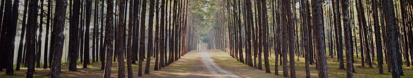 Location Vacances Landes : Villa & Residence| Madame Vacances - Prairies-de-sable-dorees-Les-plages-des-Landes